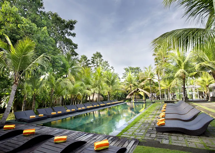 The Mansion & 5*